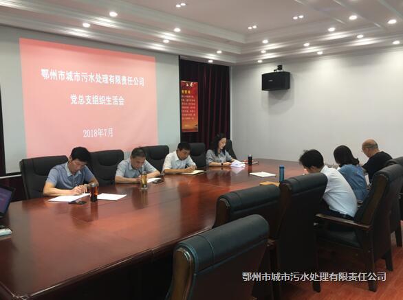 市污水處理公司召開(kāi)黨總支組織生活會(huì)
